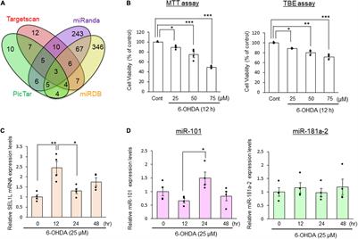 MicroRNA-101 Regulates 6-Hydroxydopamine-Induced Cell Death by Targeting Suppressor/Enhancer Lin-12-Like in SH-SY5Y Cells